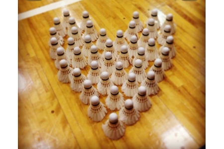 ОДИНОЧНАЯ ИГРА  для  среднего уровня под руководством тренера Пронина Александра