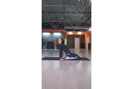 Здоровая Осанка+AnimalFlow