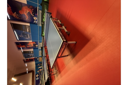 🏓 настольный теннис