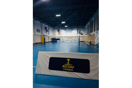 Игра смешанного уровня