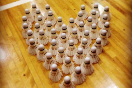 ОДИНОЧНАЯ ИГРА  для  среднего уровня под руководством тренера Пронина Александра