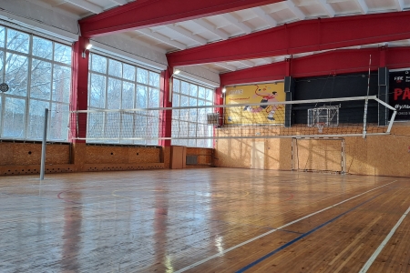 Игра в волейбол (2 часа, смешанный уровень)