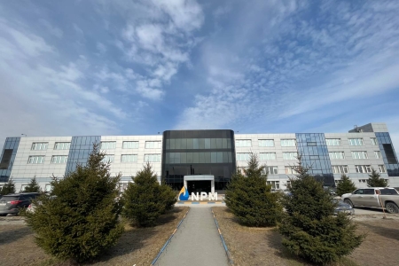 Игровая тренировка для любого уровня