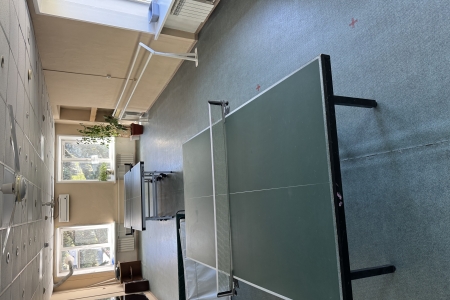 🏓 настольный теннис
