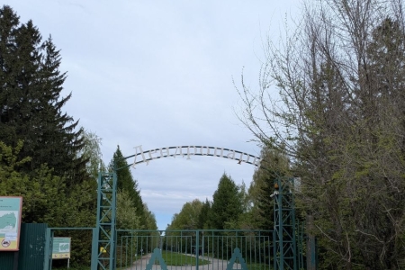 тренировка по бегу