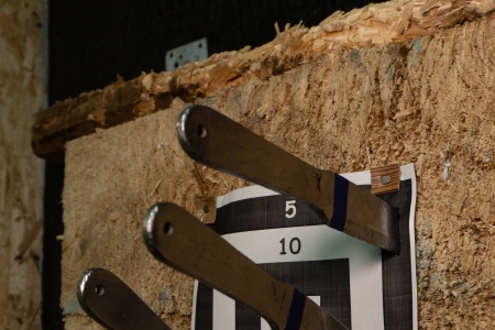 Пробное занятие по метанию ножей