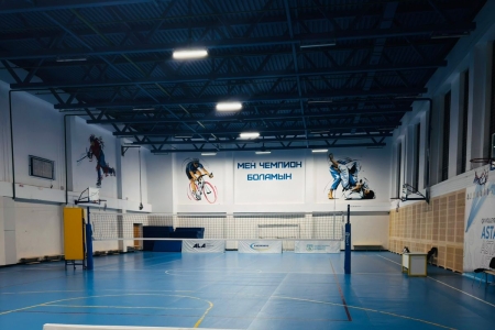 Игра смешанного уровня