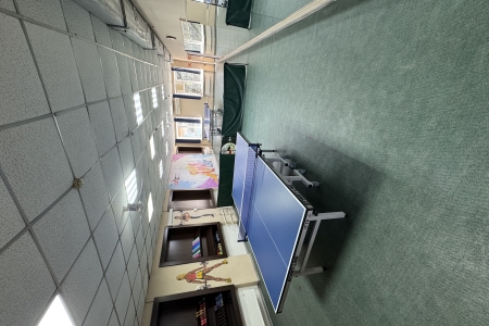 🏓 настольный теннис